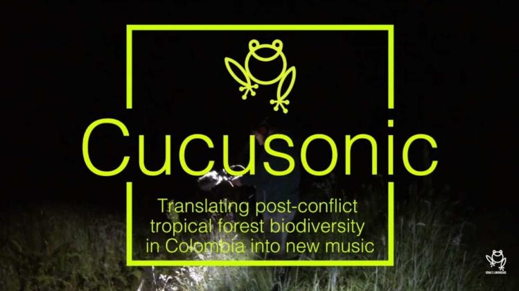 Cucusonic Collective